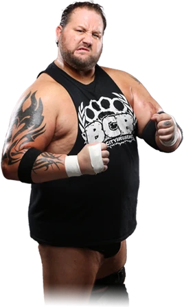 Beer City Bruiser ROH