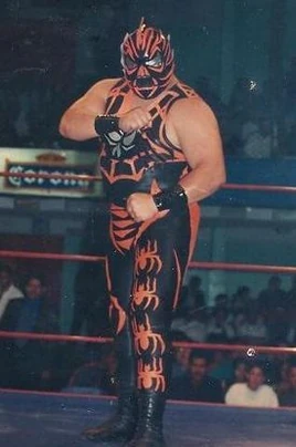 Black Spider (NWA) 1