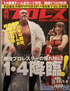 Weekly Pro Wrestling No. 1609 December 28, 2011 - January 4, 2012