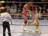 Wrestlewar 1991 5.jpg (89 KB)