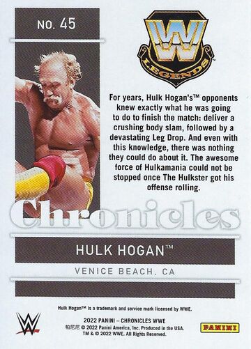Hogan 45 online