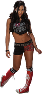 AJ Lee 2 30June2014