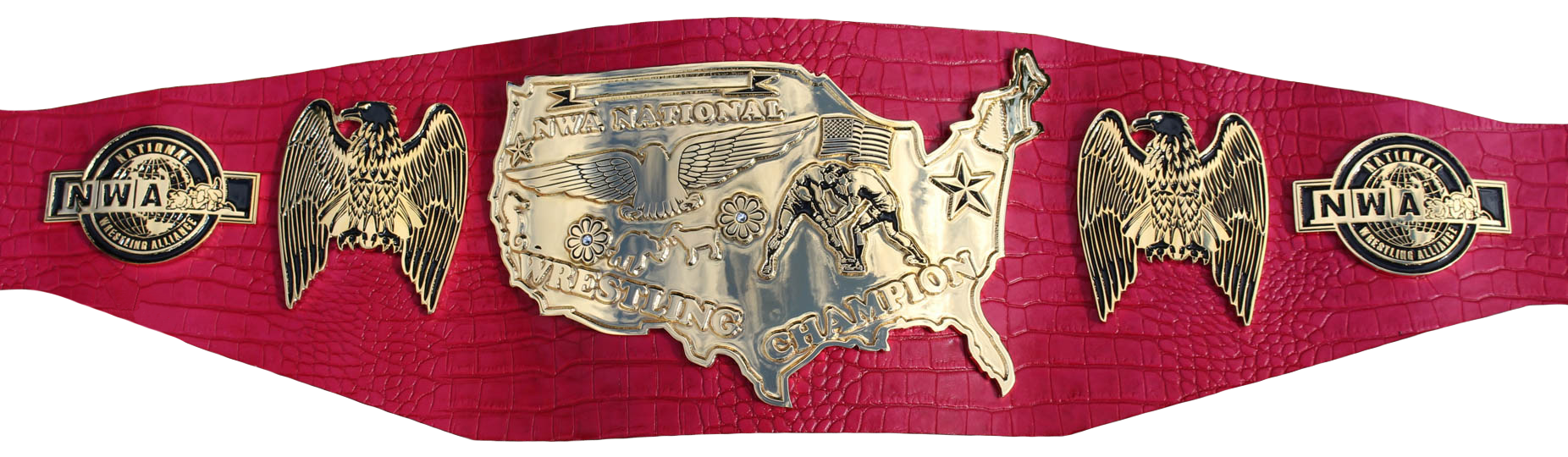 nwa championship