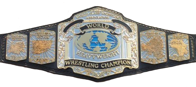 World class heavy weight championship Belt