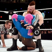 WWE Roadblock 2016.5.jpg (139 KB)