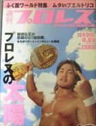 Weekly Pro Wrestling No. 1382 August 29, 2007