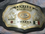 CMLL World Super Lightweight Championship