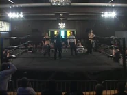 Shimmer 40.00013.jpg (38 KB)