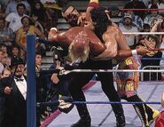 Royal Rumble 1990.3