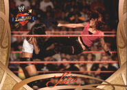 2004 WWE Divas 2005 (Fleer) Lita 1