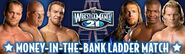 Money in the Bank ladder match