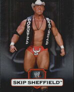 2010 WWE Platinum Trading Cards Skip Sheffield 90