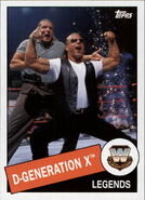 2015 WWE Heritage Wrestling Cards (Topps) D-Generation X 11