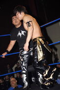 KOT 2008 31