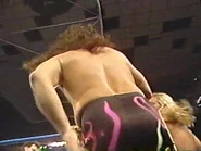 WrestleWar 1991.00036.jpg (16 KB)