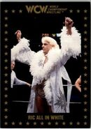 1991 WCW Collectible Trading Cards (Championship Marketing) Ric Flair All In White 56