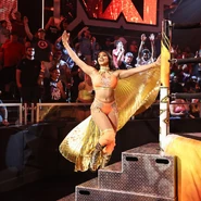 7-9-24 NXT 3.jpg (356 KB)