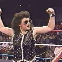 Dawn Marie Johnston Pro Wrestling Fandom She is perhaps best known for her appearances with extreme championship wrestling and the smackdown! dawn marie johnston pro wrestling