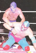 vs. Blue Demon Jr.