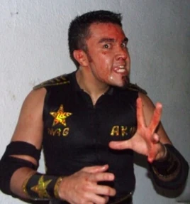 Mario Pardo Villagómez