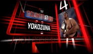 4.) Yokozuna