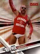 2017 WWE (Topps) Then, Now, Forever Cesaro 113
