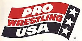 Pro Wrestling USA