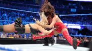 Smackdown 4.6.12.37