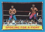 1987 WWF Wrestling Cards (Topps) Spoiling For A Fight (No.28)