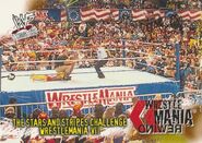 2001 WWF WrestleMania (Fleer) The Stars And Stripes Challenge 87