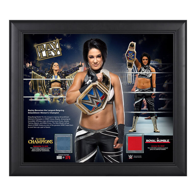 Longest reigning wwe champion sale