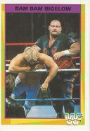 1995 WWF Wrestling Trading Cards (Merlin) no.167