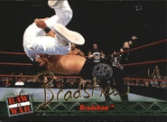 2001 WWF RAW Is War (Fleer) Bradshaw (No.32)