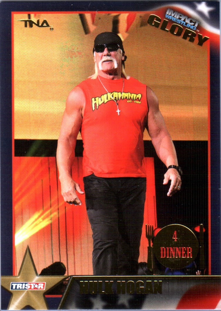 Hogan interactive 2013 sales