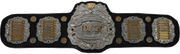 IWGP Junior Heavyweight Championship Belt