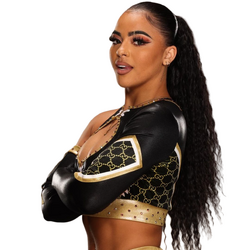 Category WWE NXT current roster Pro Wrestling Fandom