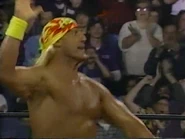 November 27, 1995 Monday Nitro.00009.jpg (19 KB)