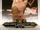 2020 WWE NXT (Topps) Angel Garza (No.3)