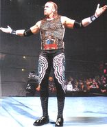 Christian as the WWF European Champion