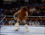 January 2, 1993 WWF Superstars of Wrestling.00003.jpg (29 KB)