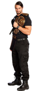 Seth rollins tag team champion by the rocker 69-d67te10