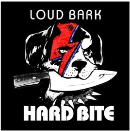 Ziggy Haim - Ozy Stardust Stickers