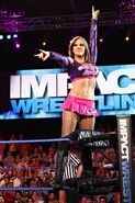 5-10-12 Impact 2.jpg (74 KB)