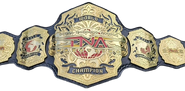 TNA World Championship | Pro Wrestling | Fandom