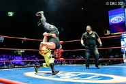 CMLL 7-23-21 10.jpg (194 KB)