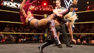 NXT 270 Photo 05.jpg (49 KB)