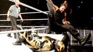 WWE World Tour 2013 - Dublin.3
