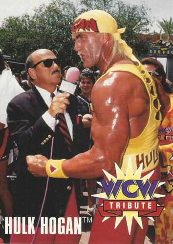 Sheet B Hulk Hogan Sting 1995 Cardz WCW Main Event Uncut Sheet 100 Cards 