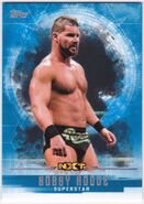 2017 WWE Undisputed Wrestling Cards (Topps) Bobby Roode 44