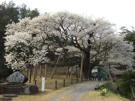 Hamada, Shimane